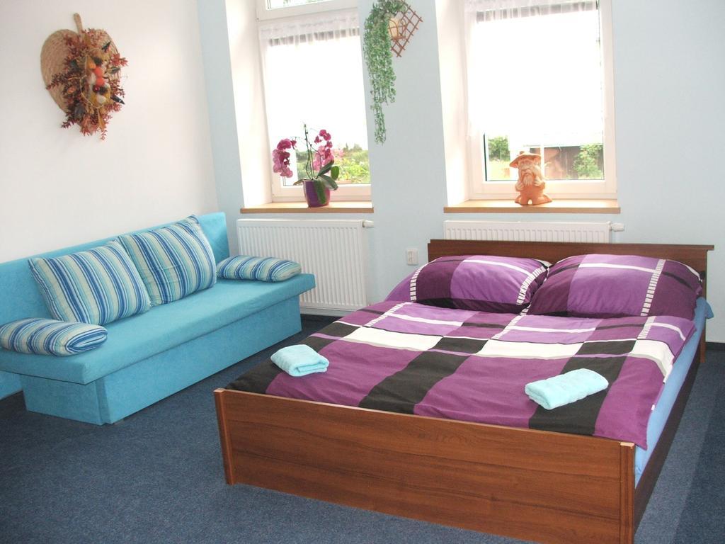 Ala Ubytovani Josefuv Dul Room photo